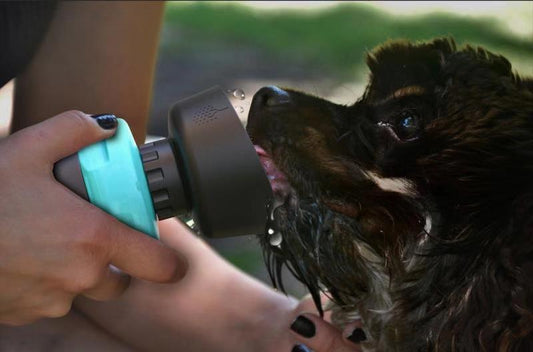 Pet Outdoor Foldable Dog Travel Water Bottle/Dispenser